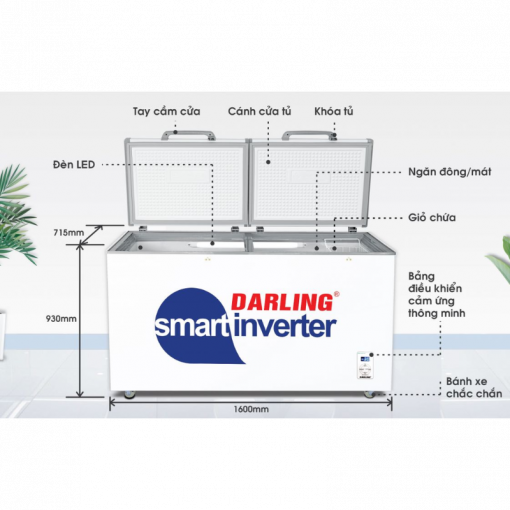 Kích thước thực tế tủ đông Darling DMF-7779ASI