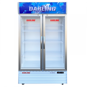 Tủ mát Darling DL-7000A2